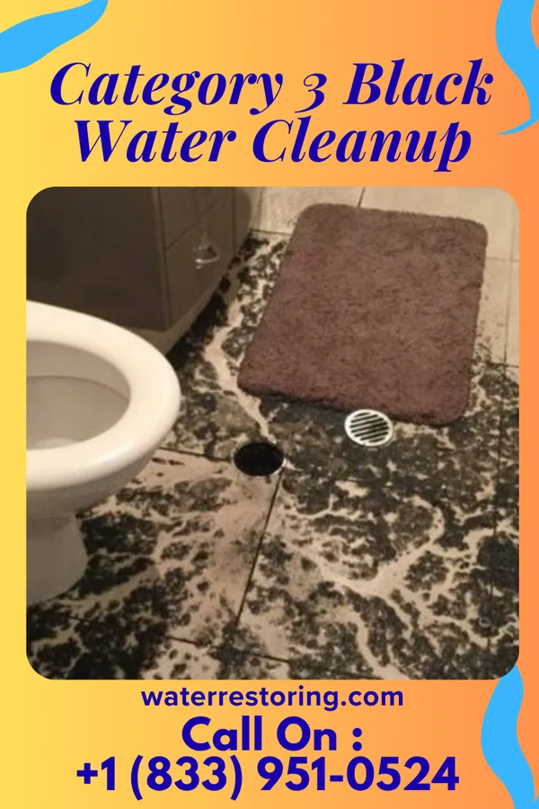 Category 3 Black Water Cleanup in Bancroft, SD